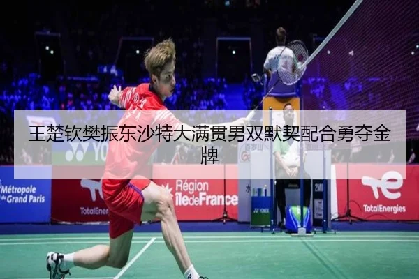 wang-chu-qin-fan-zhen-dong-sha-te-da-man-guan-nan-shuang-mo-qi-pei-he-yong-duo-jin-pai-2-522.jpg