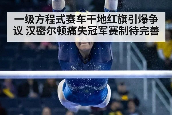 一级方程式赛车干地红旗引爆争议 汉密尔顿痛失冠军赛制待完善