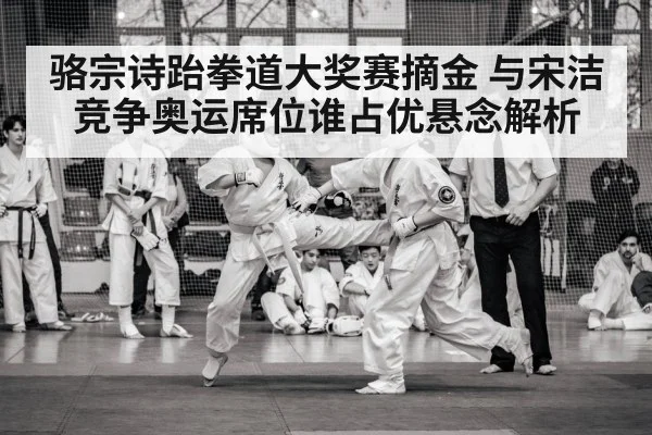 骆宗诗跆拳道大奖赛摘金 与宋洁竞争奥运席位谁占优悬念解析